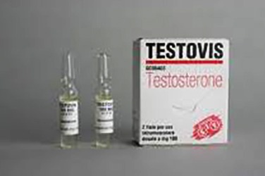 testosterone propionato testovis