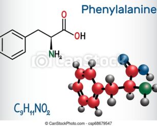 Fenilalanina aminoacido essenziale